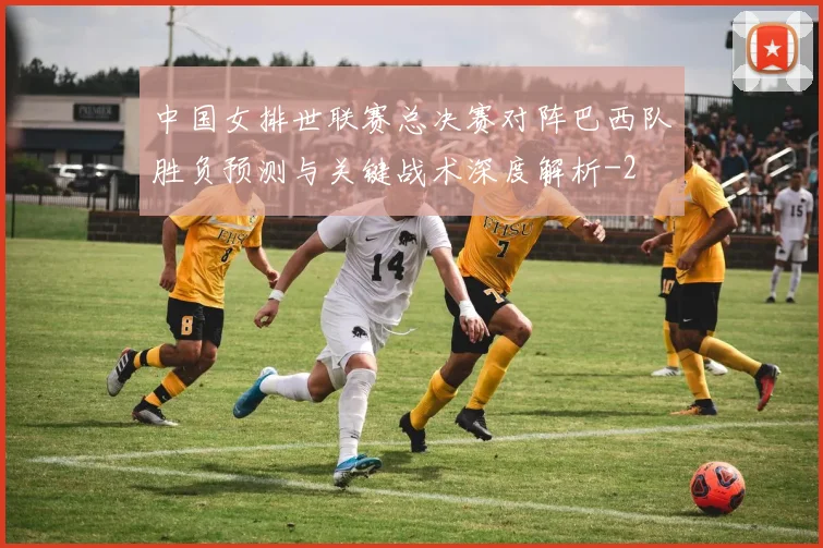 中国女排世联赛总决赛对阵巴西队胜负预测与关键战术深度解析