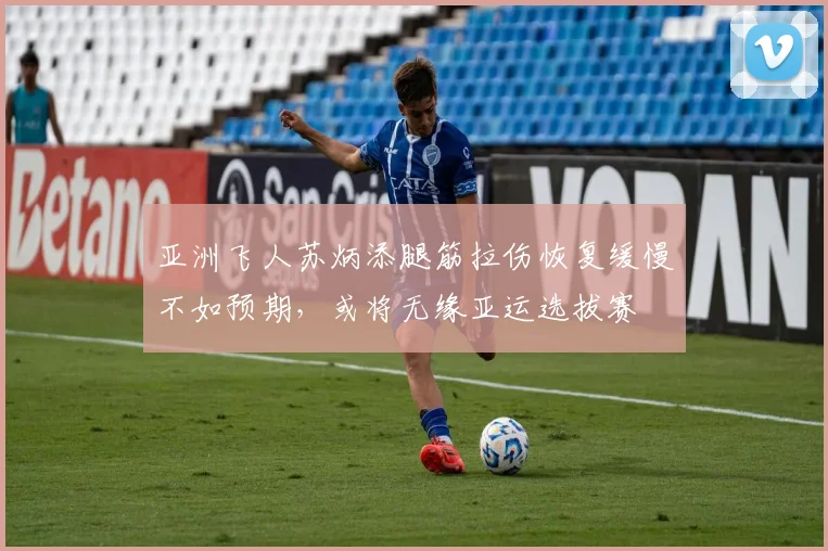 亚洲飞人苏炳添腿筋拉伤恢复缓慢不如预期，或将无缘亚运选拔赛